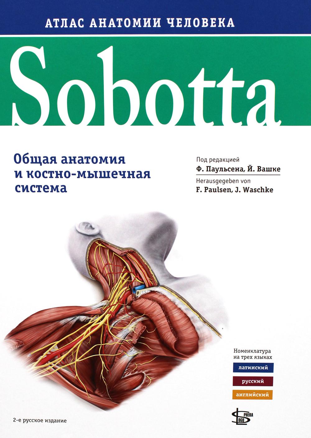 Sobotta.   .  3 . . 1:    - . 2- 