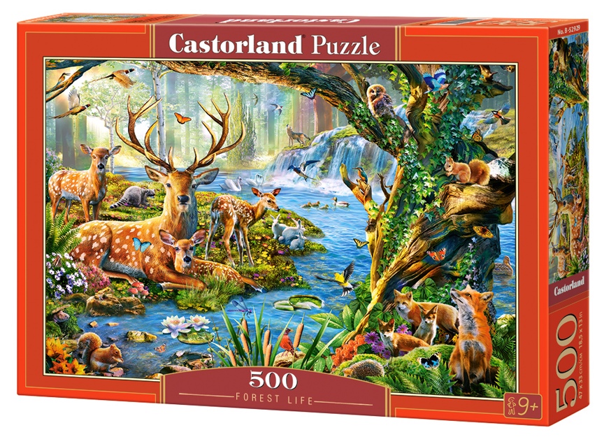 Castorland.  500 .B-52929  