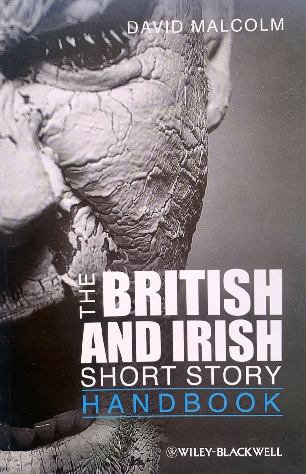 The British And Irish Short Story (   )