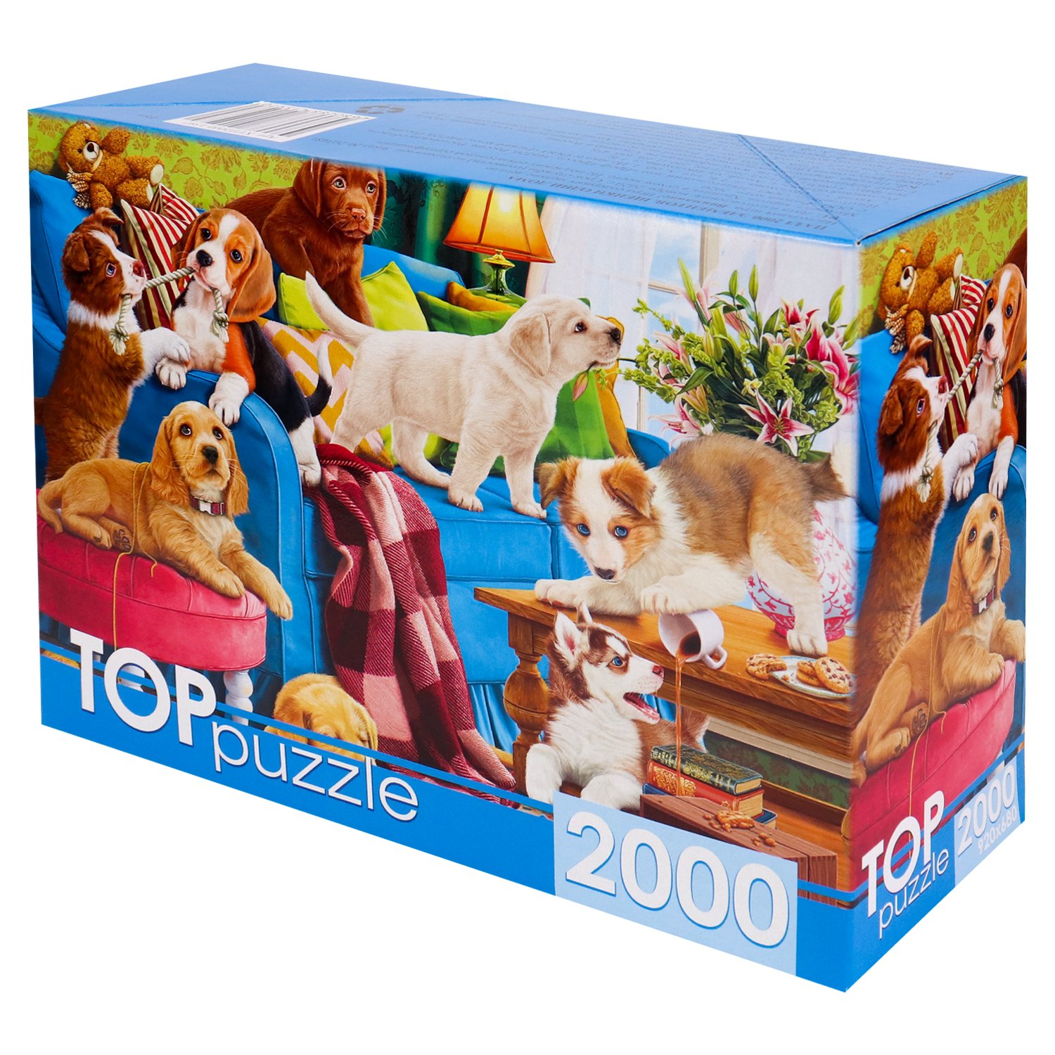 . TOPpuzzle.  2000 . .1597   