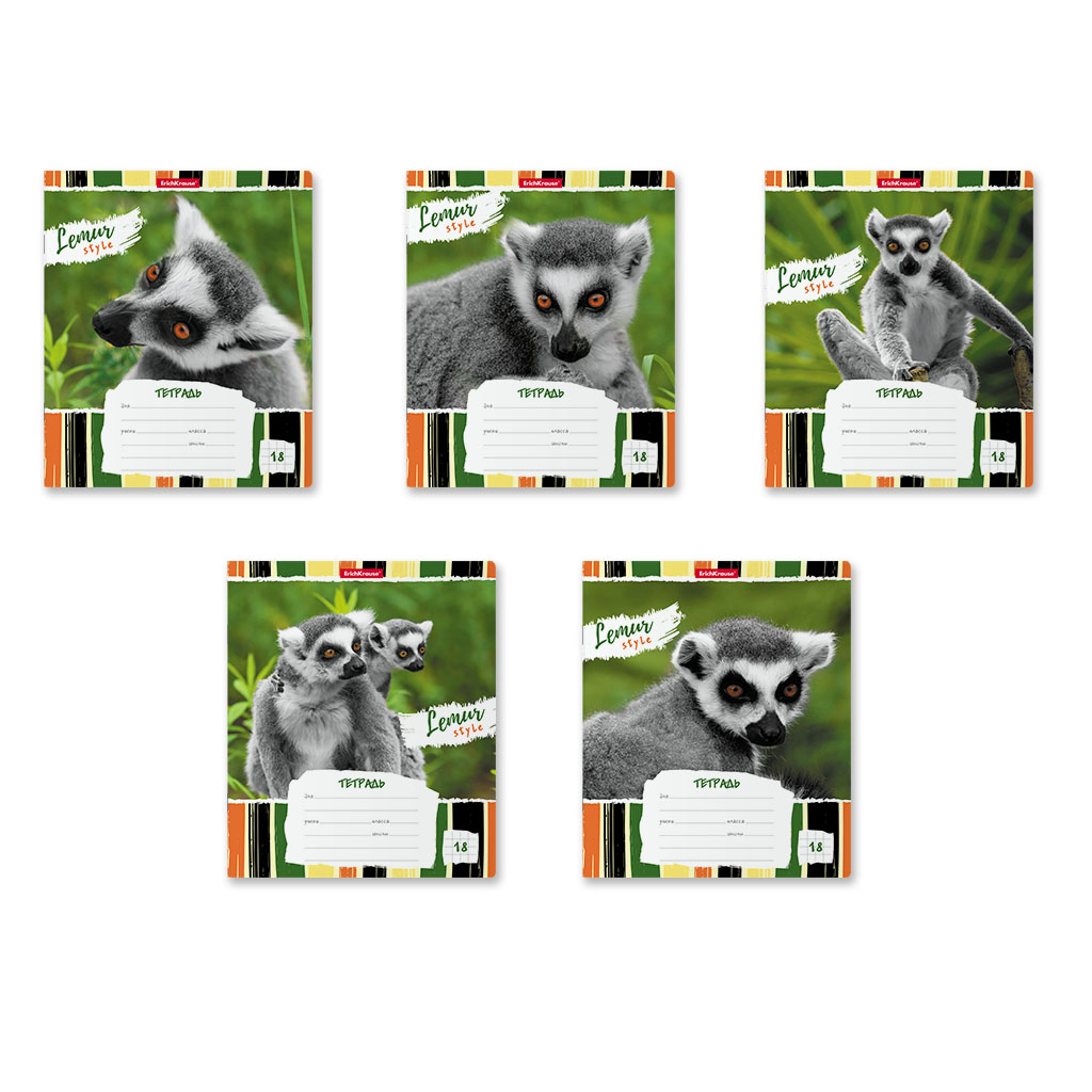 ErichKrause    Lemur Style 18 ,  () .49189