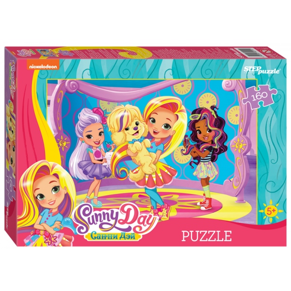 94115  puzzle 160 Sunny Day
