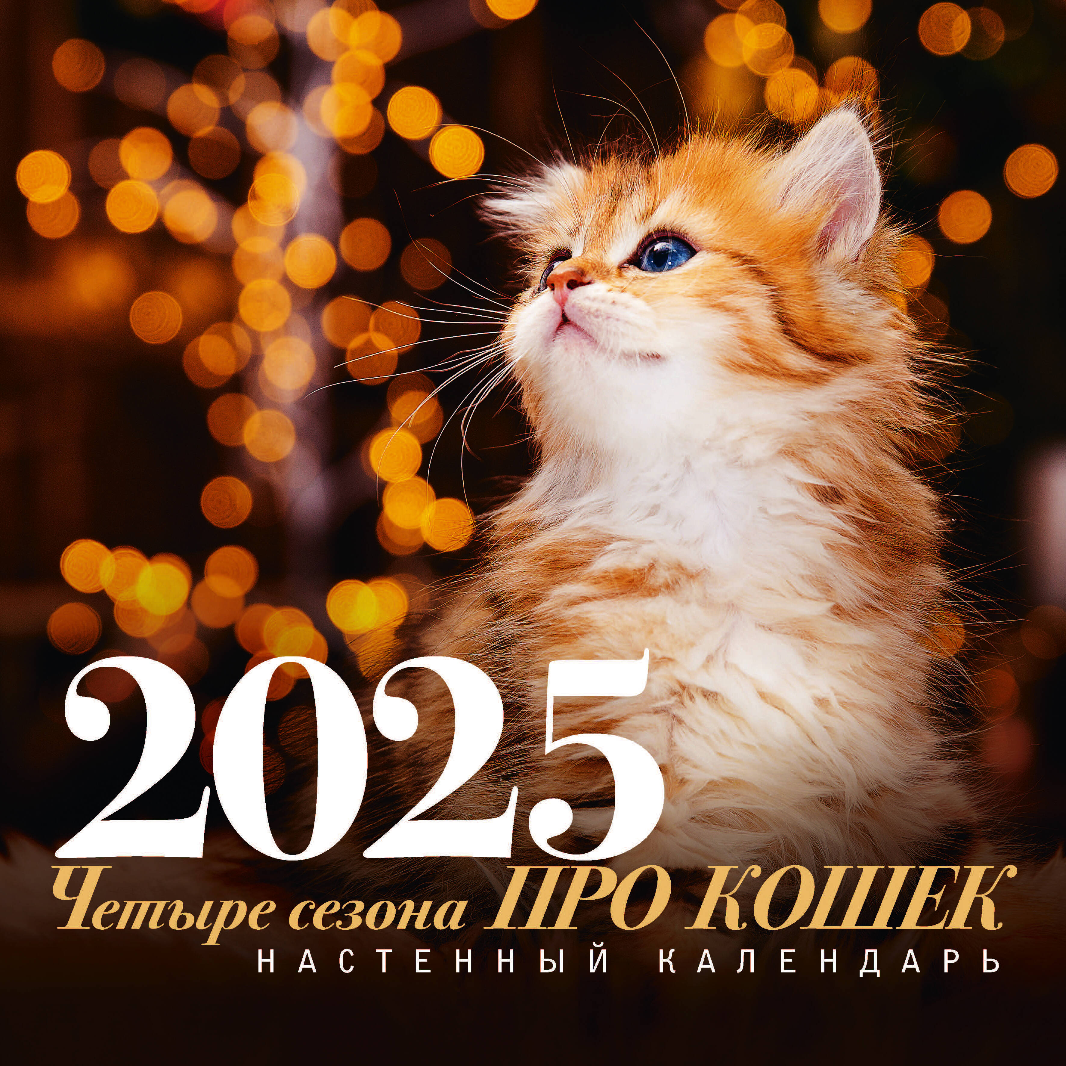  :  .    2025 