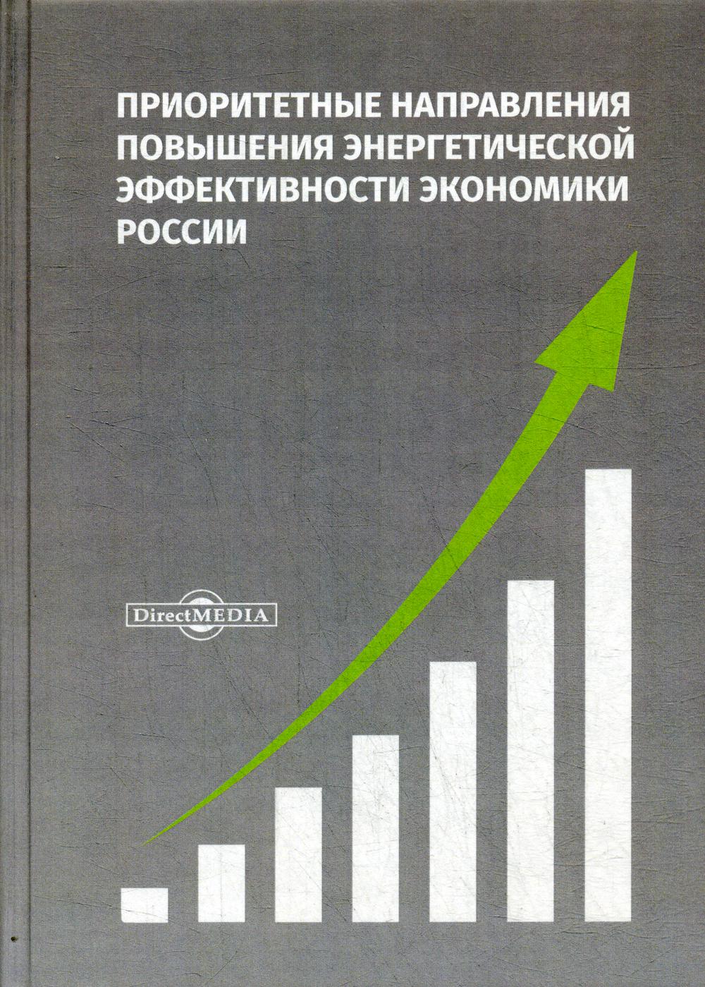 Приоритетные направления повышения энергетической эффективности экономики России : монография