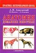 Анатомия домашних животных (твердая обложка)