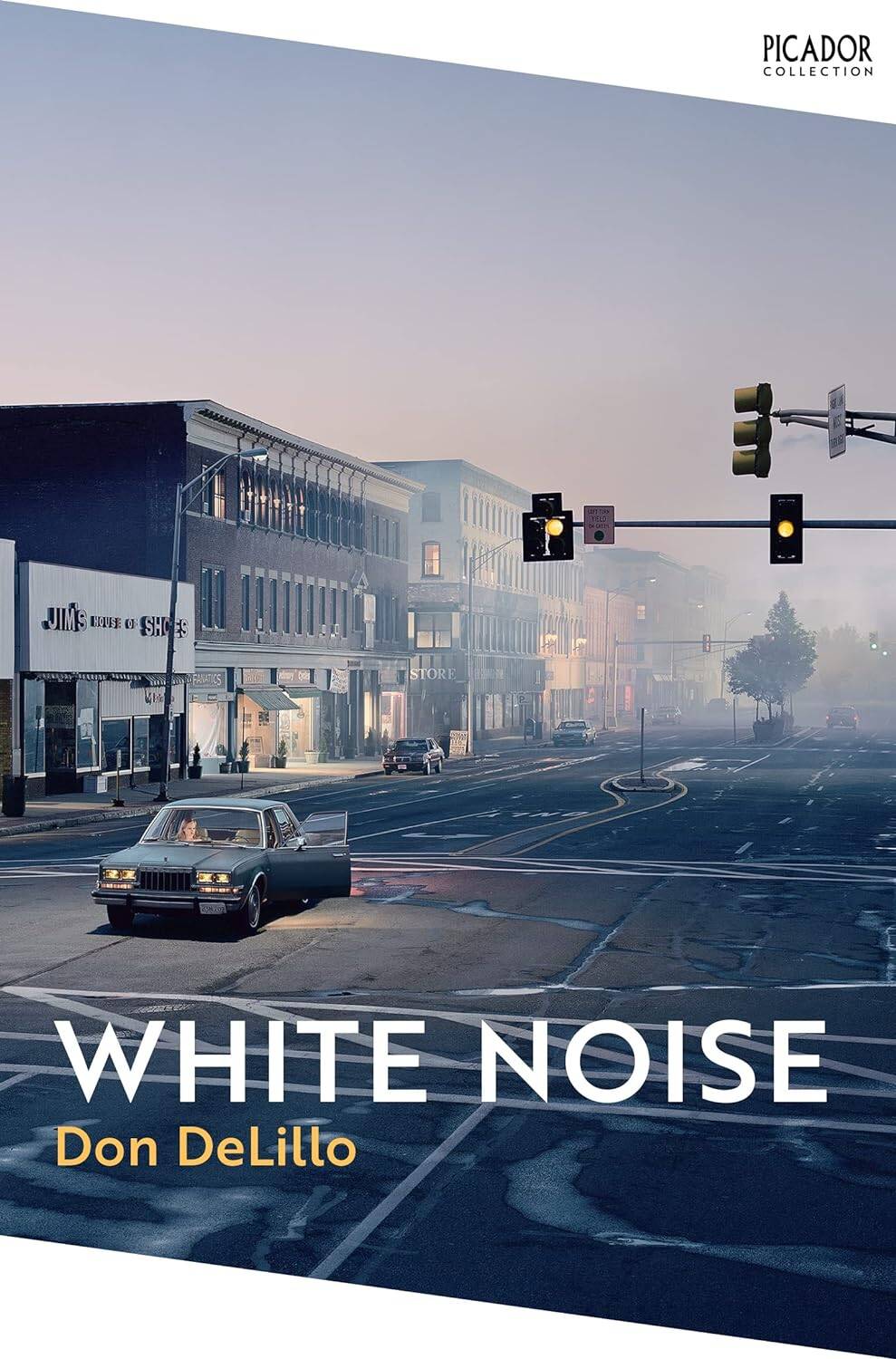 White Noise (Don DeLillo)   ( ) /   