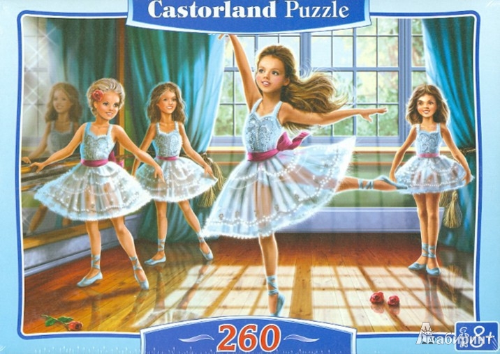 Puzzle-260 B-27231 MIDI Castor Land