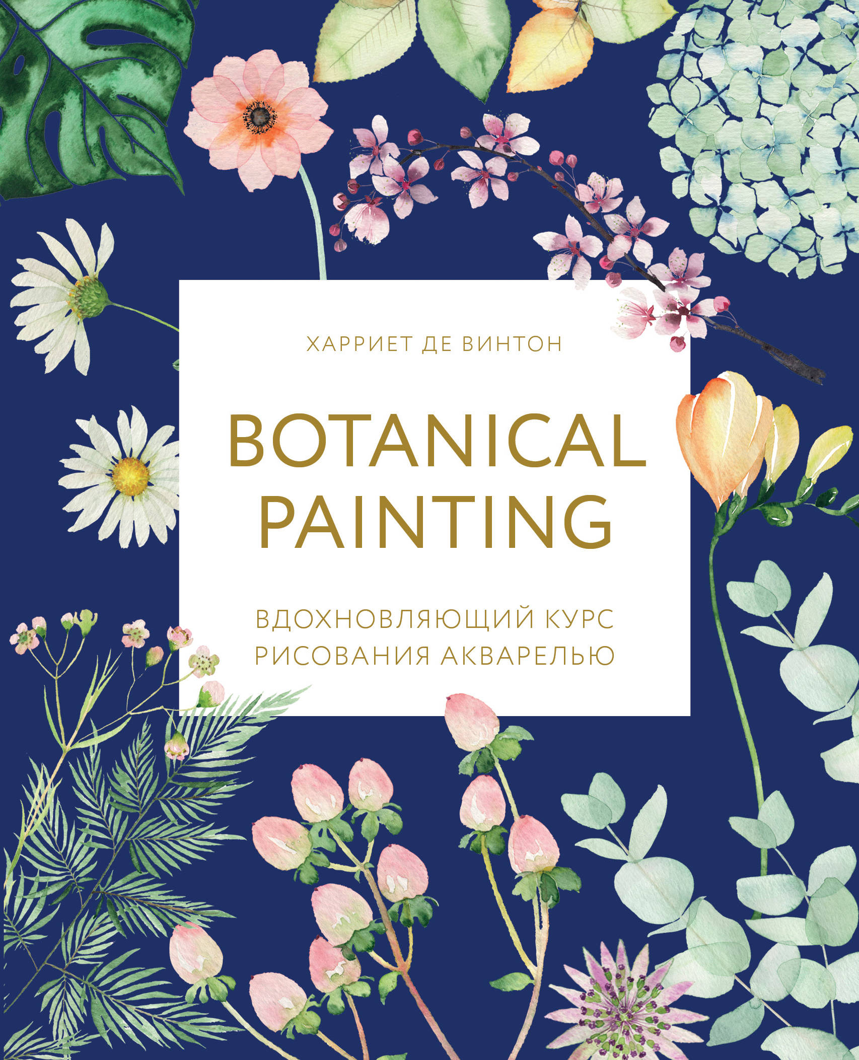 Botanical painting.    