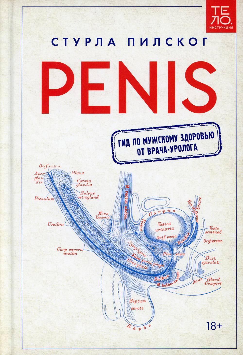 Penis.      -
